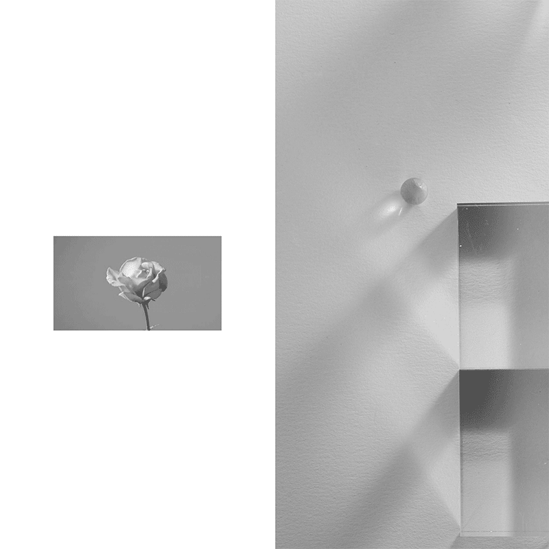 PRISME — Camille Moguilewsky