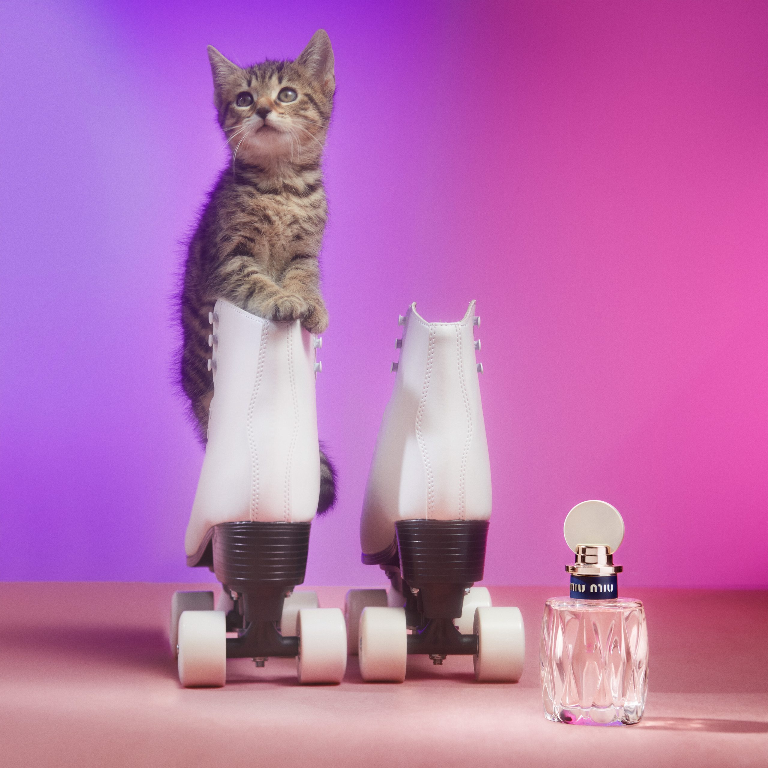 MIUMIU — Camille Moguilewsky