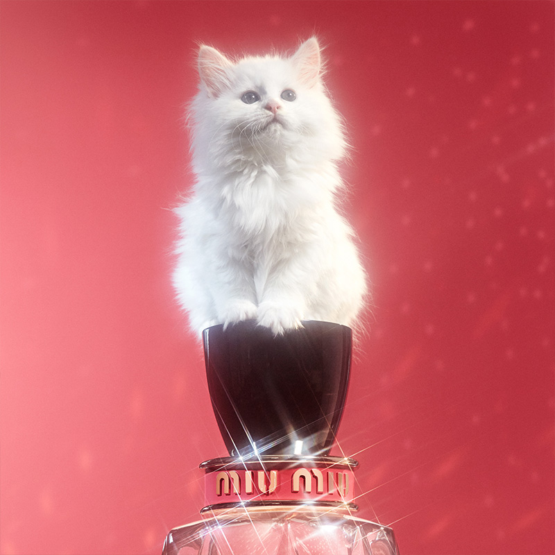 MIUMIU — Camille Moguilewsky
