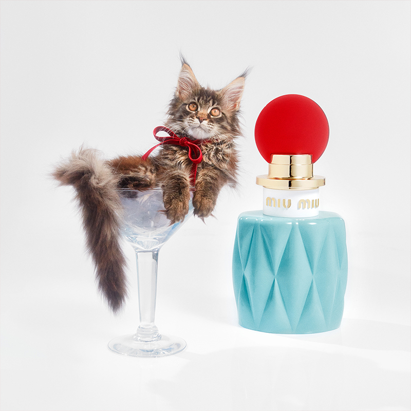 MIUMIU — Camille Moguilewsky