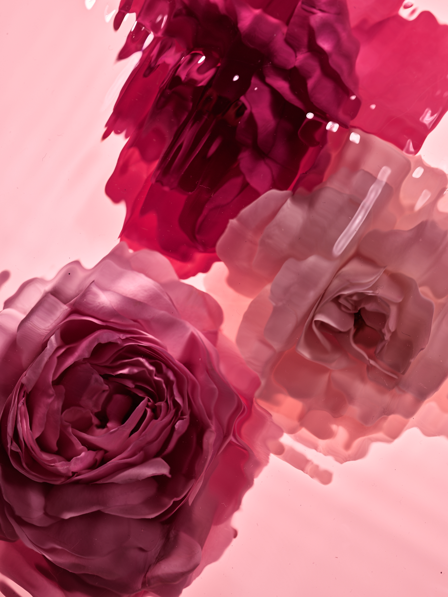 GUERLAIN LPRN — Camille Moguilewsky