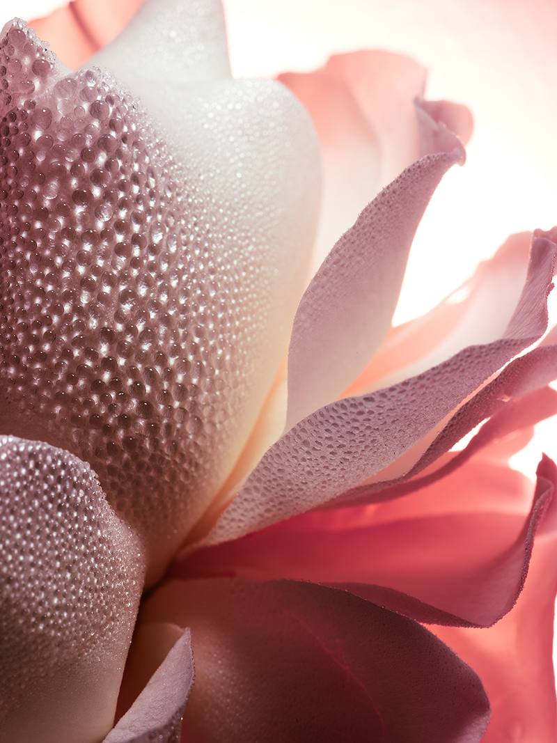 GUERLAIN LPRN — Camille Moguilewsky