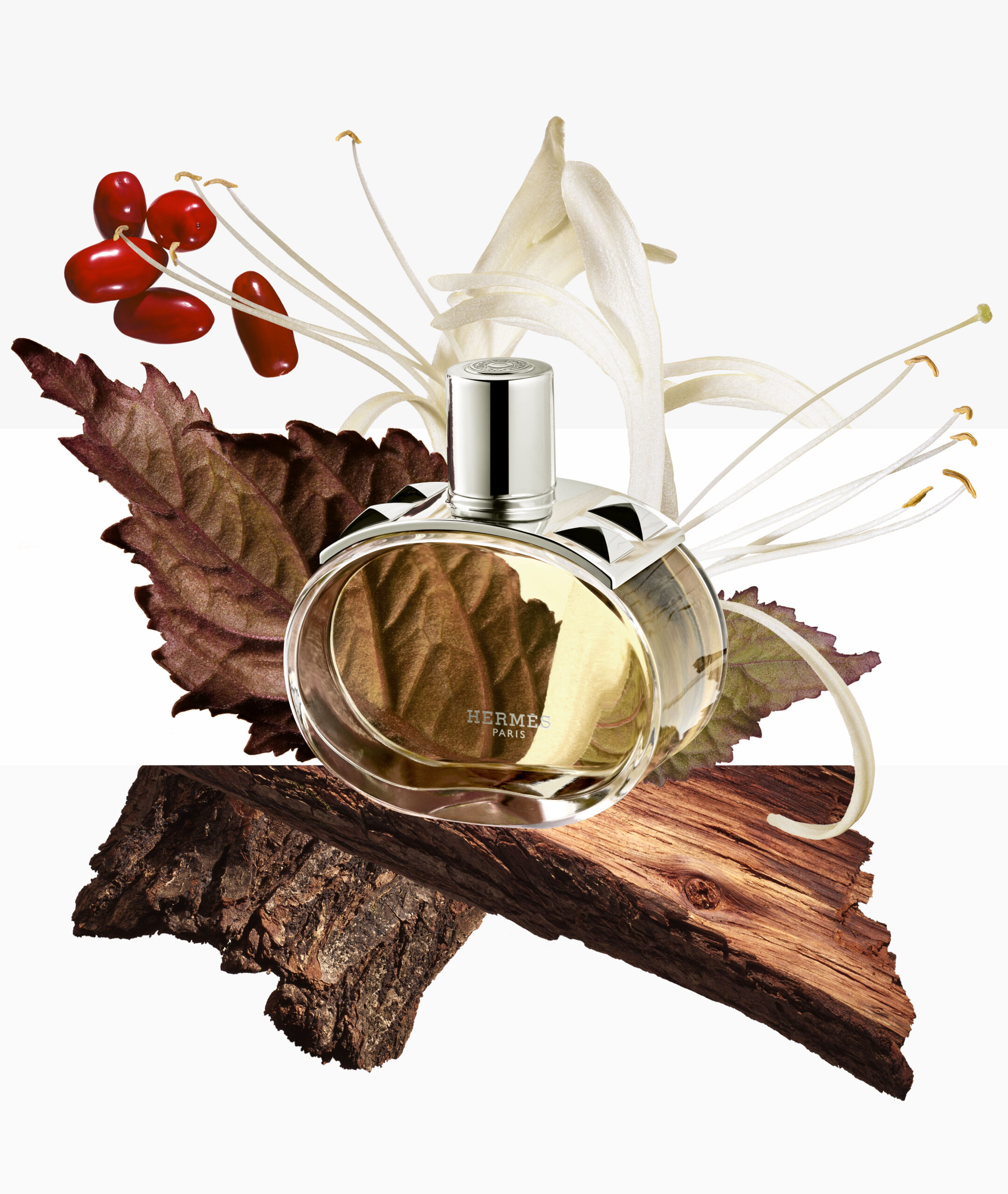 HERMÈS PARFUM BARENIA — Camille Moguilewsky