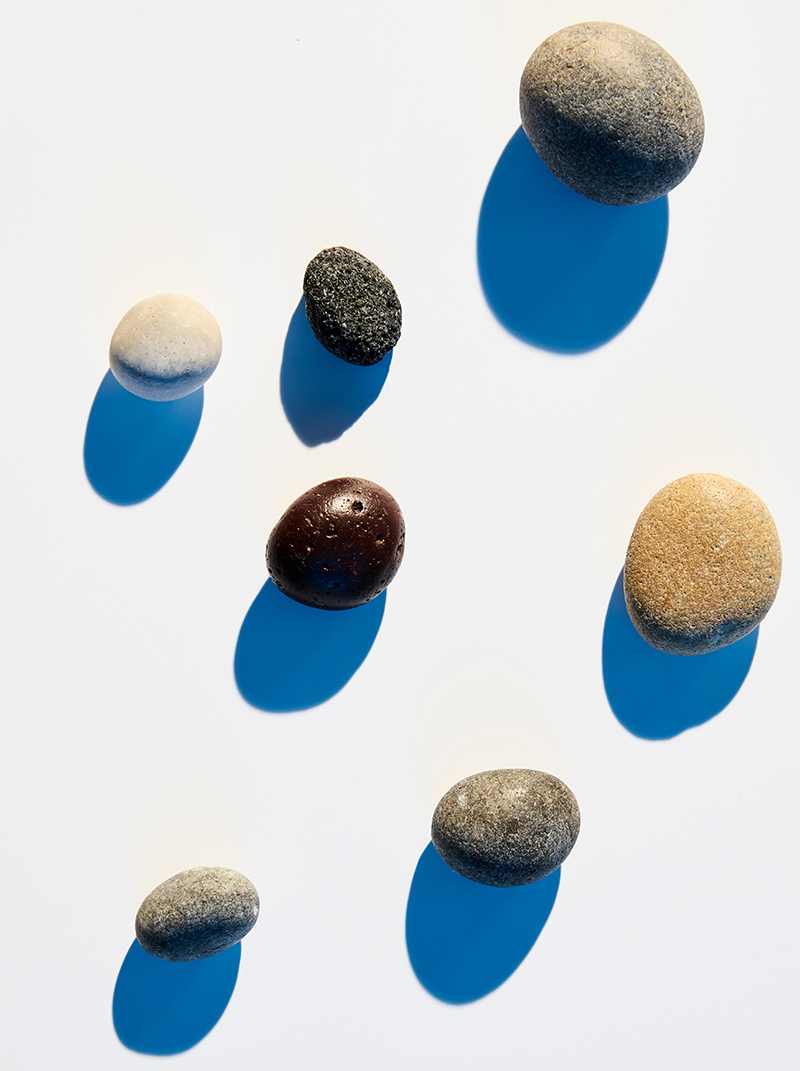 COLLECTION — Camille Moguilewsky
