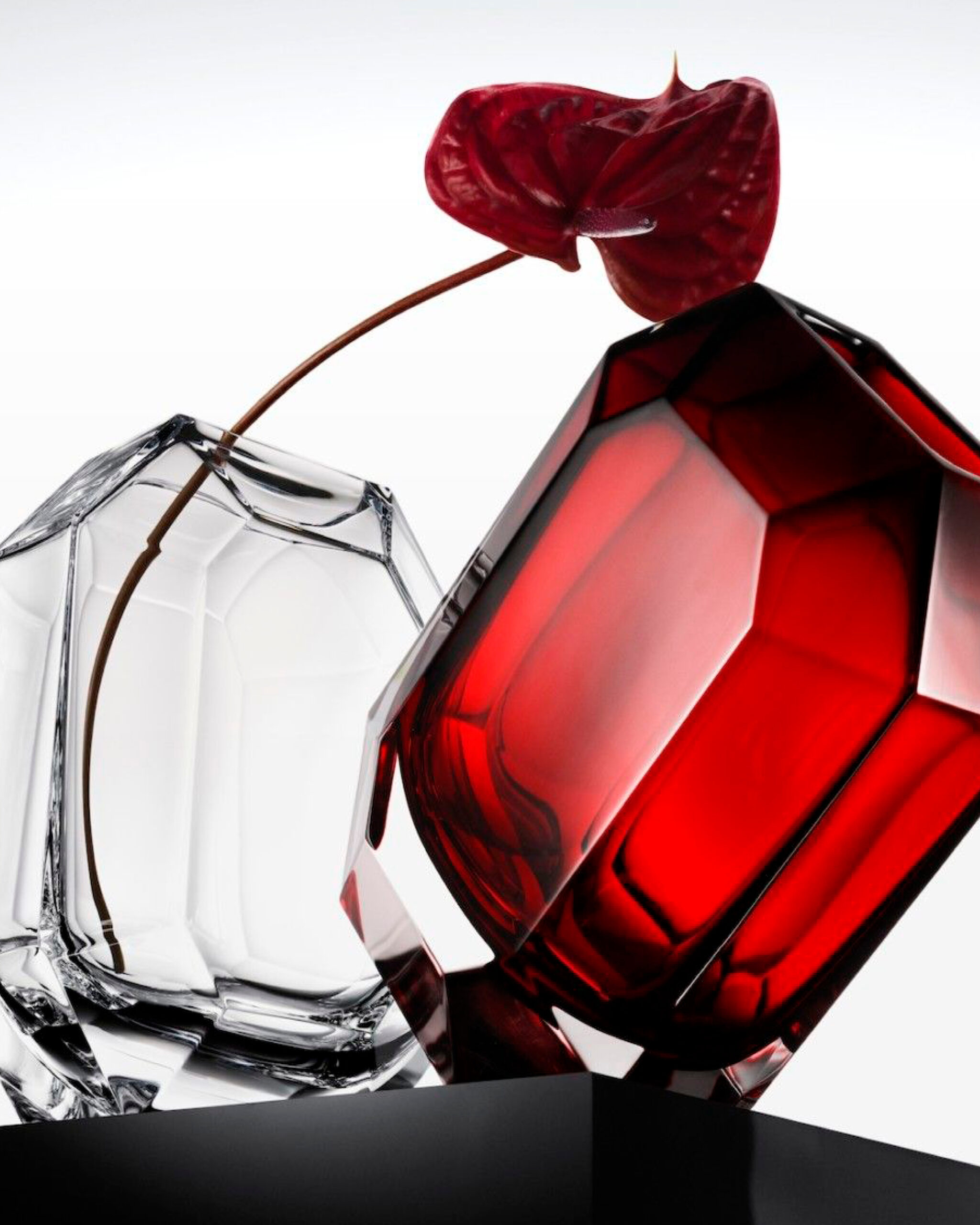 BACCARAT — Camille Moguilewsky