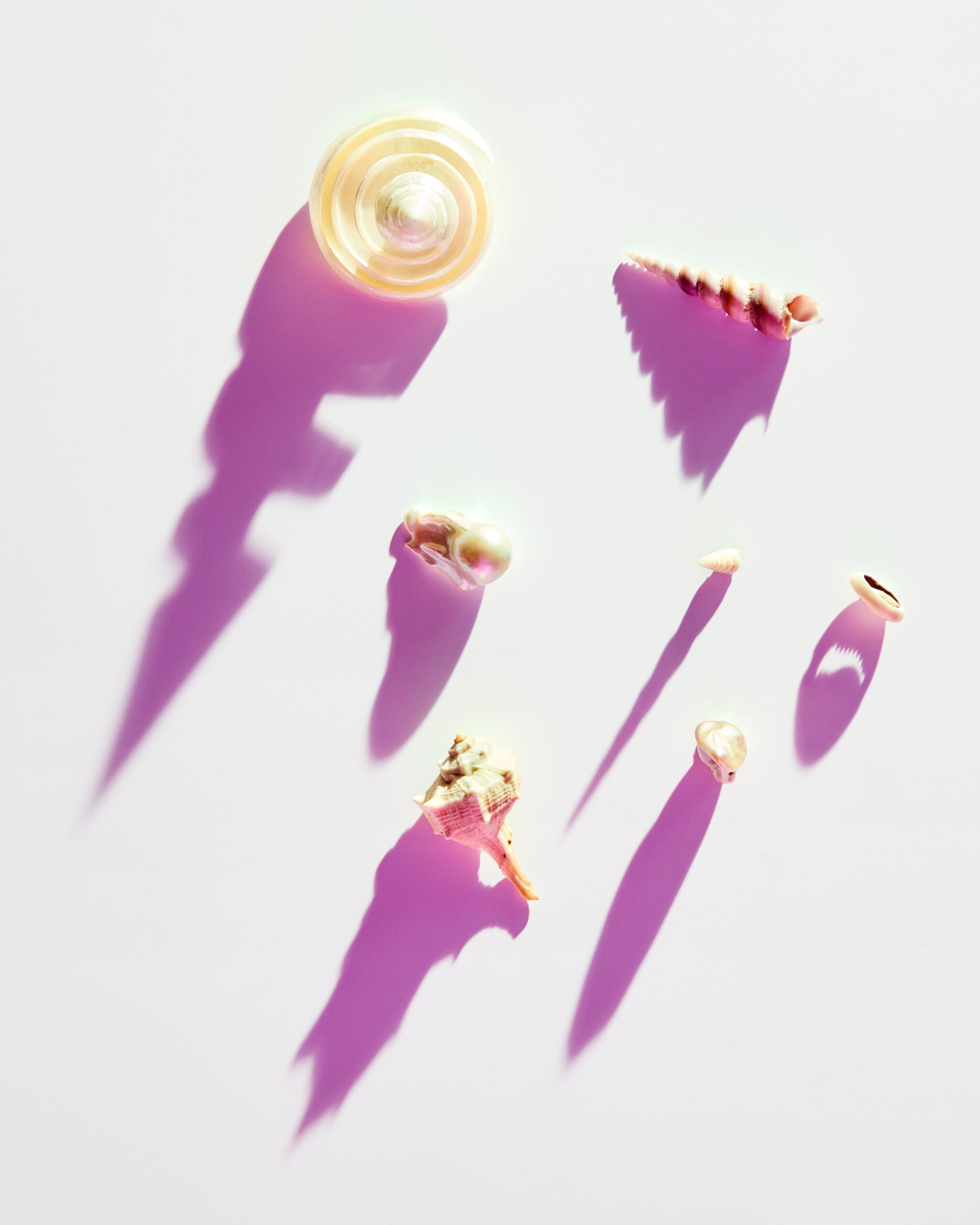 COLLECTION — Camille Moguilewsky