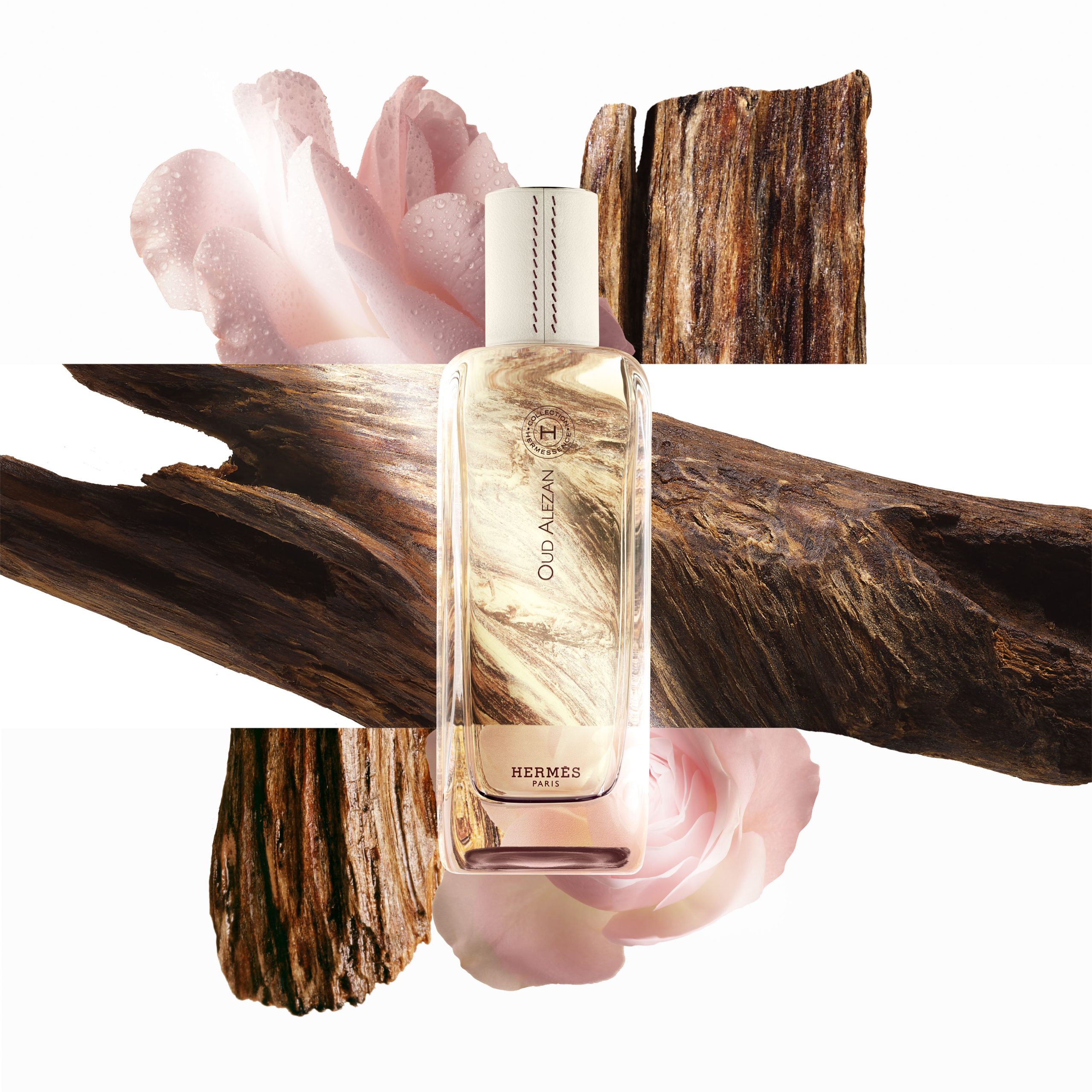 HERMES Oud Alezan — Camille Moguilewsky